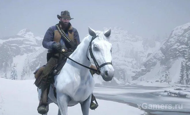 Defis du cavalier chevronne dans le jeu Red Dead Redemption 2