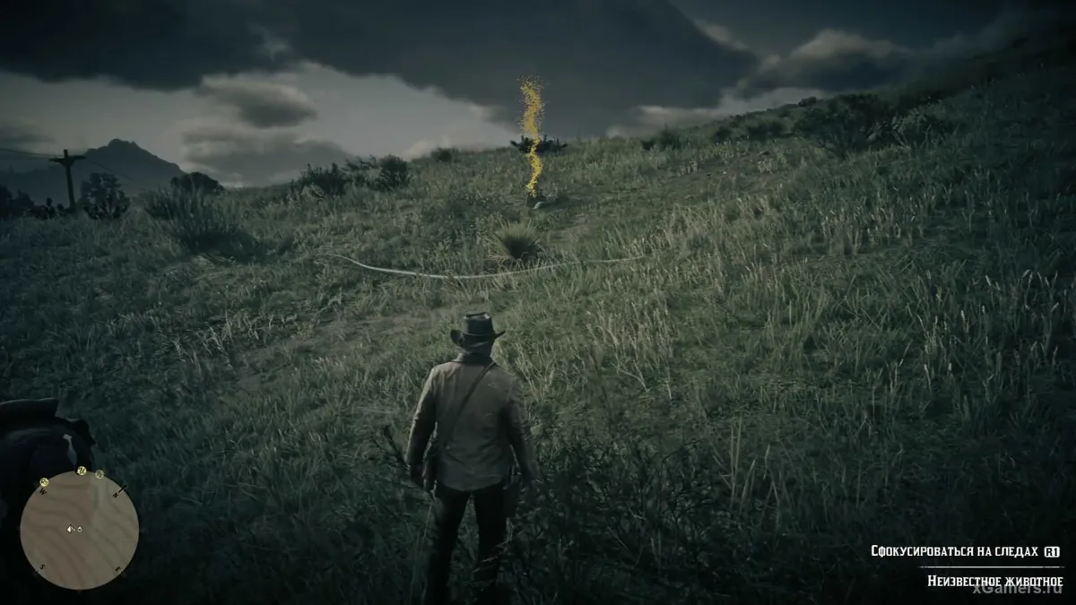 L'emplacement du premier os dans le jeu RDR 2