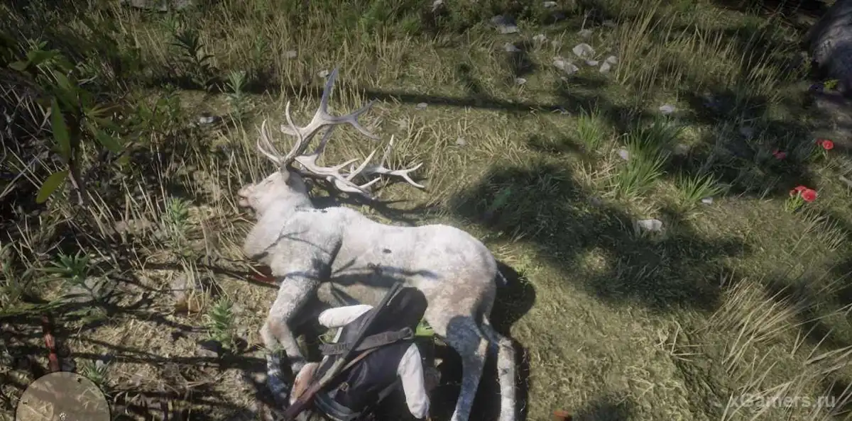 Amulette faite à partir des bois du wapiti légendaire.