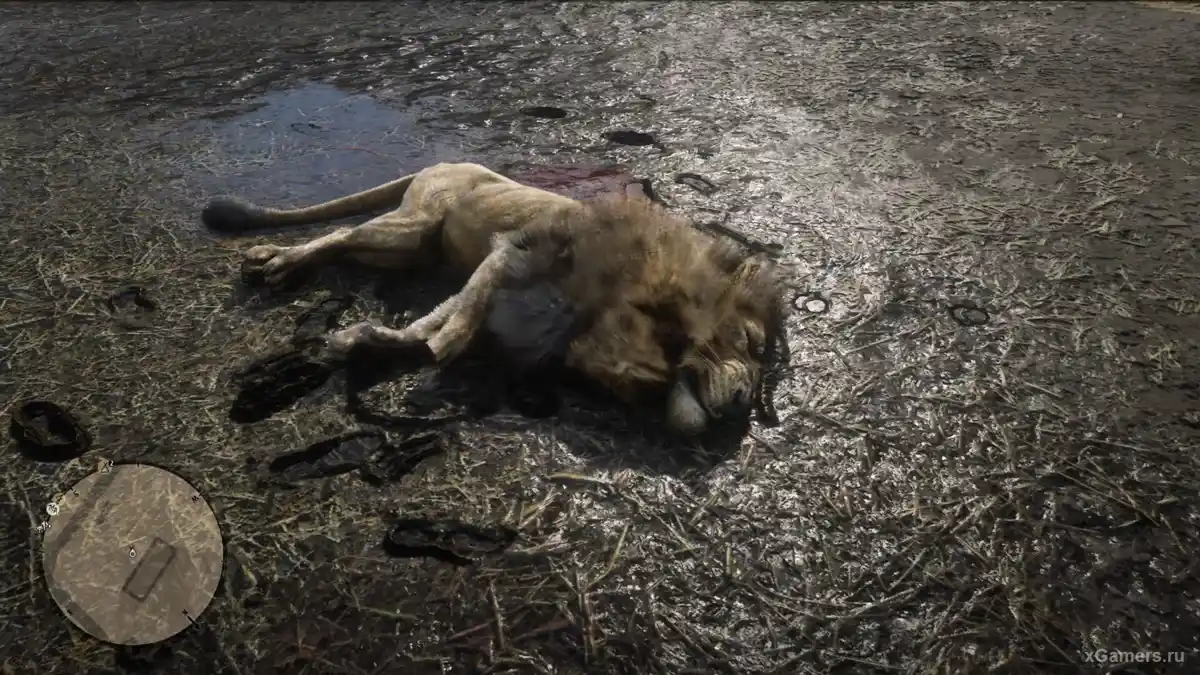 Quête secondaire : la mission du Britannique dans RDR2