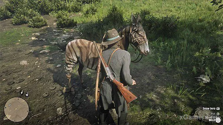 Le zèbre ne peut être capturé qu'au lasso