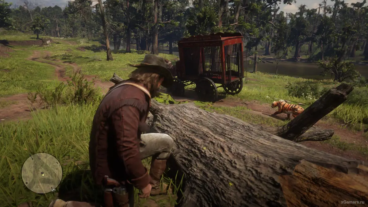 Le tigre dans RDR 2 - quête du Britannique