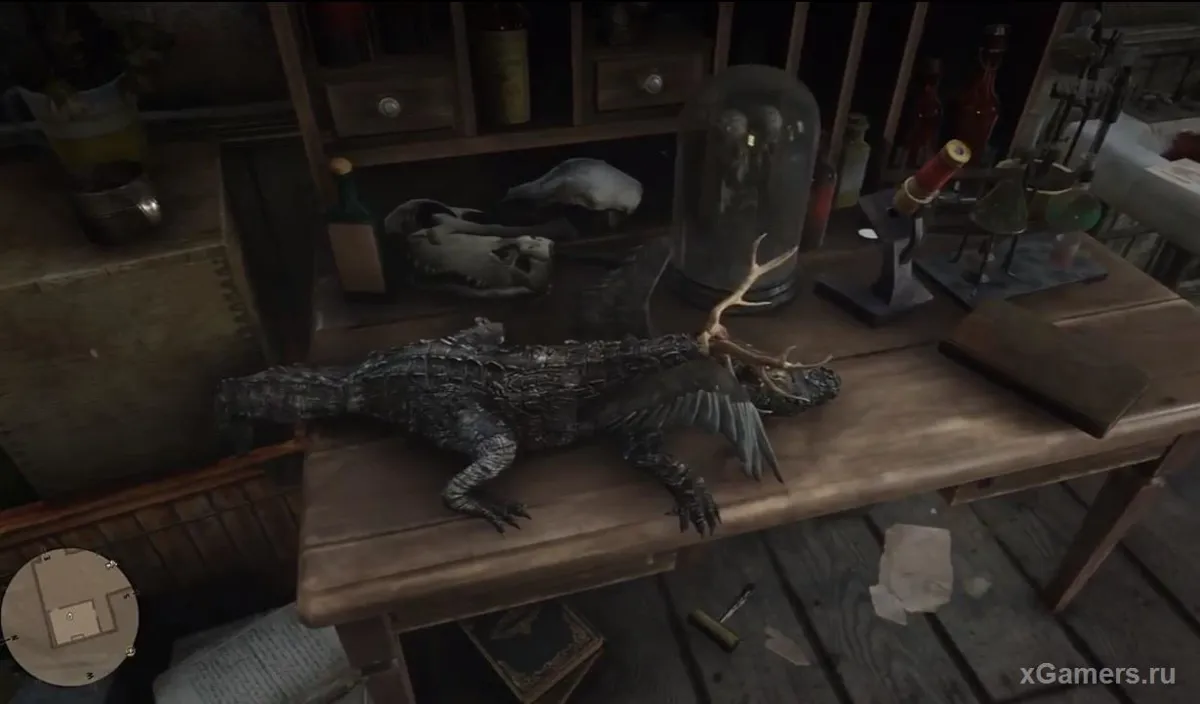 Carcasse d'un petit crocodile à laquelle un savant fou a fixé des cornes