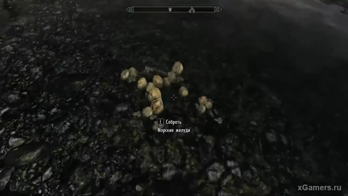 Augmenter le niveau d'Alchimie - Skyrim