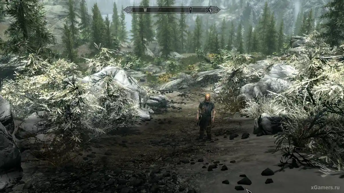 Codes de triche Skyrim - ouverture de la console pour entrer les cheats de Skyrim