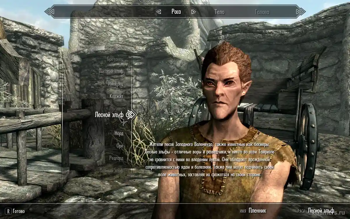 Race - Elfes des bois dans Skyrim