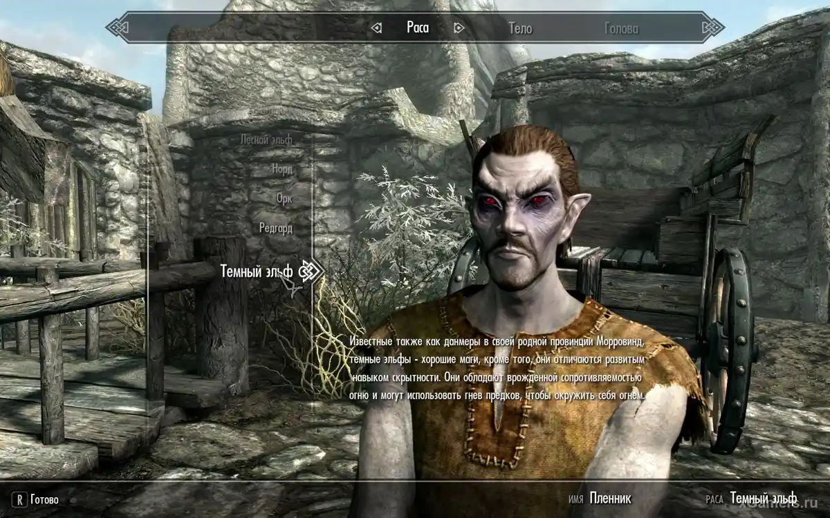 Race - Elfes noirs dans le jeu Skyrim