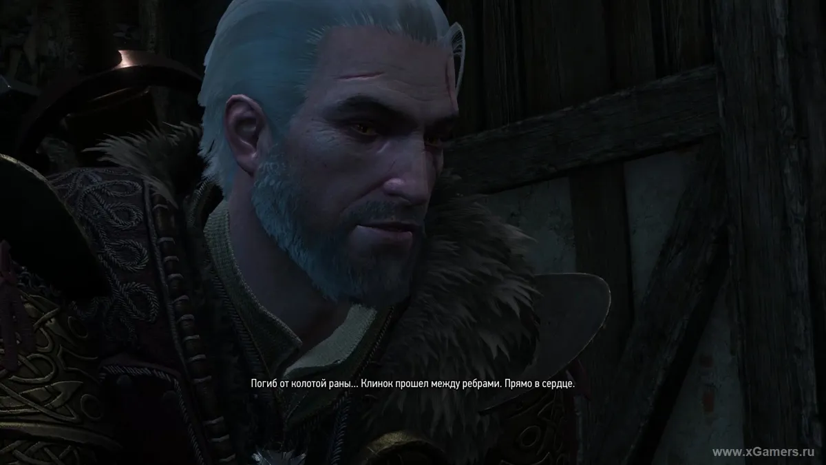 The Witcher 3 : Là où jouent les chats et les loups – illustration 4