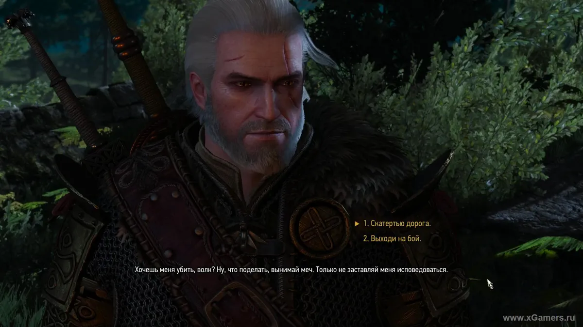 The Witcher 3 : Là où jouent les chats et les loups – illustration 9
