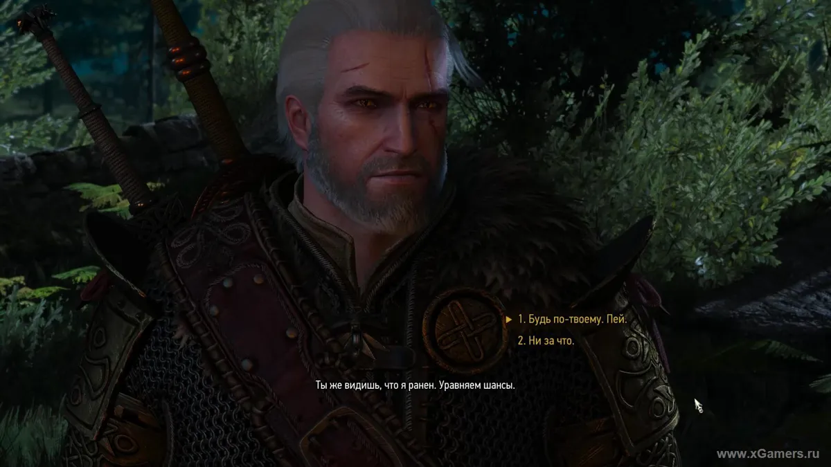The Witcher 3 : Là où jouent les chats et les loups – illustration 10