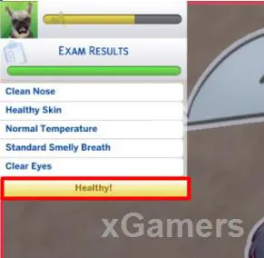 Une fois le diagnostic terminé, une information indique que vous pouvez commencer le traitement