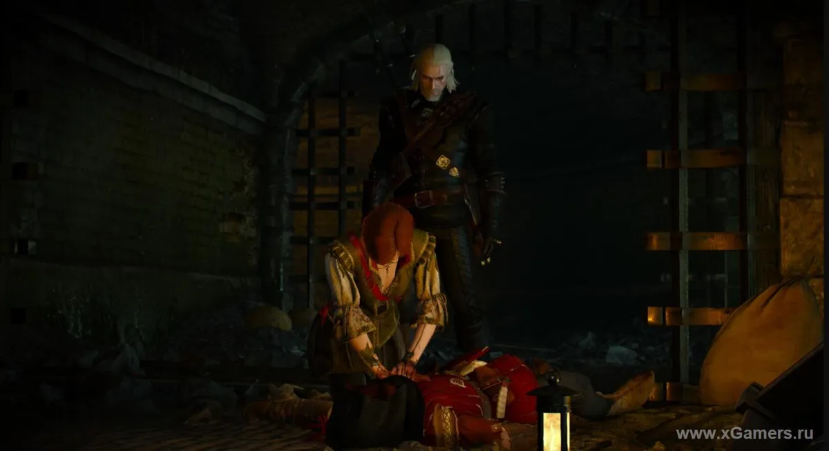 Witcher 3 les prémices du mal crapaud