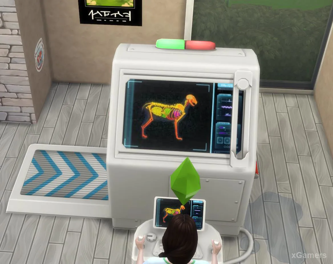 Résultat du scan de l'animal et diagnostic complet