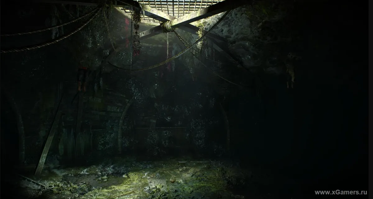 Witcher 3 les prémices du mal - comment tuer un crapaud