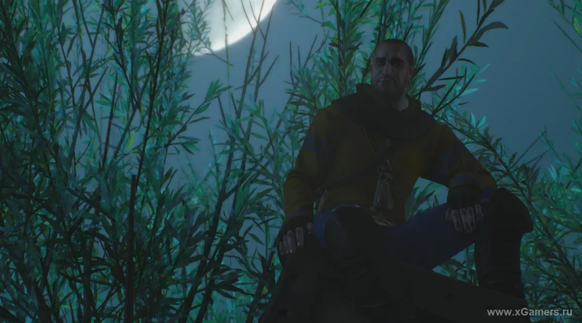 witcher 3 trois vœux Olgerd