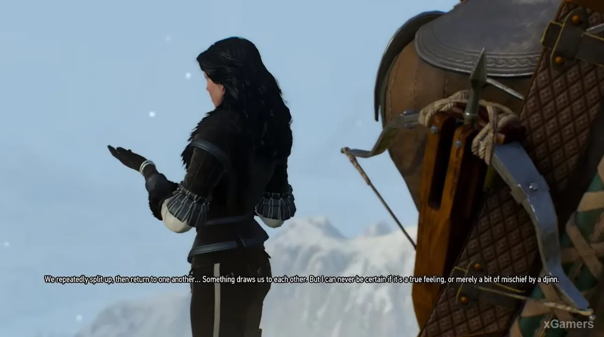 Geralt reste sceptique face aux raisons avancées par Yennefer