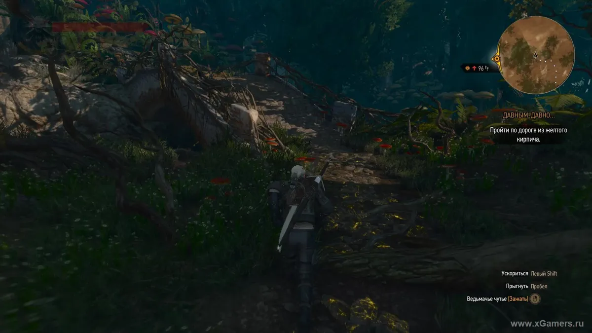 Witcher blood and wine soluce du conte