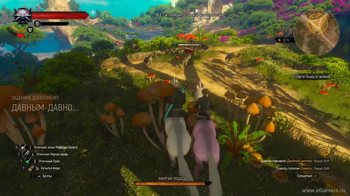 The Witcher 3 : guide de la quête Il était une fois – illustration 1