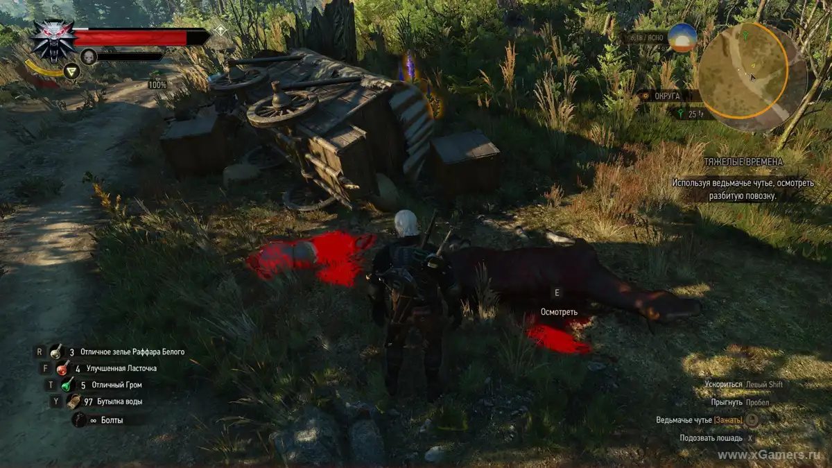 Deroulement de la quete (Temps difficiles) The Witcher 3