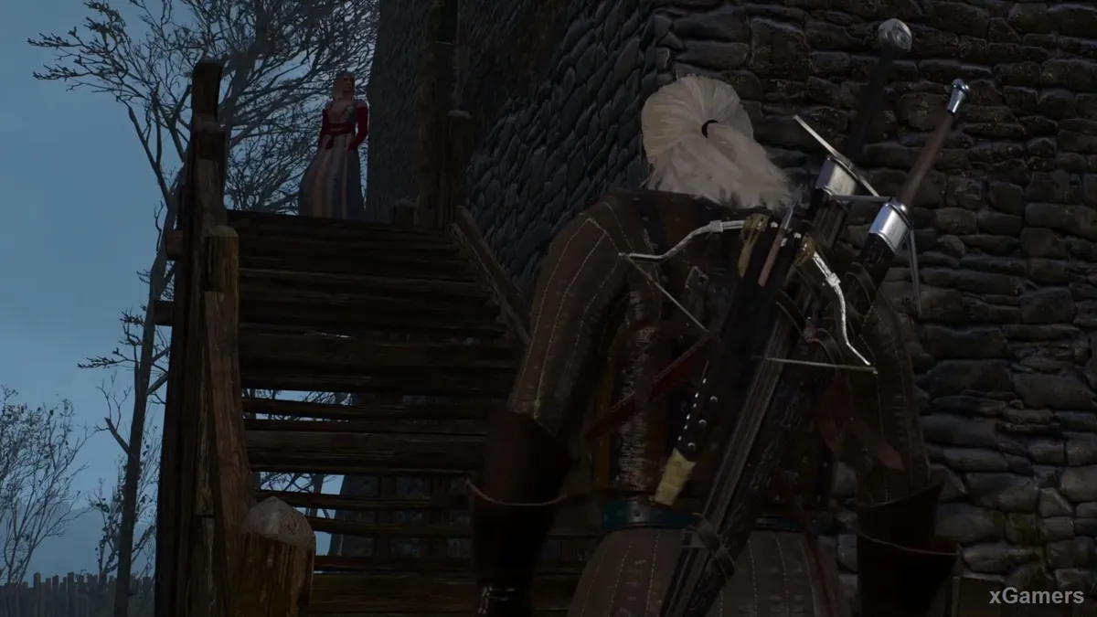 Geralt choisit une fois de plus de s'immiscer dans les plans de Keira
