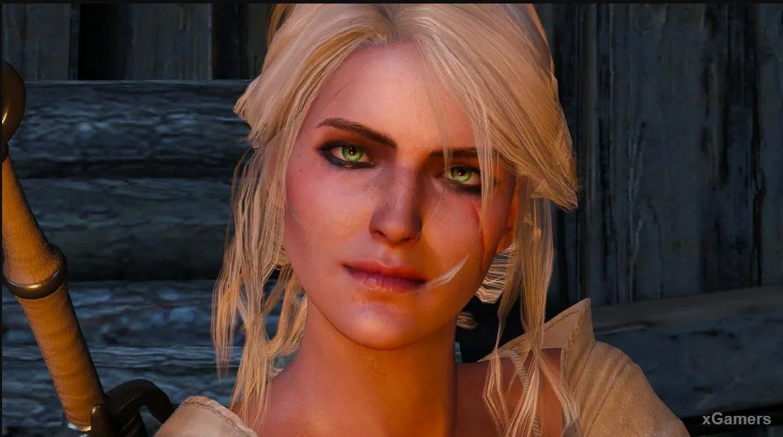 The Witcher 3 : Ciri - Participation dans l'univers du jeu