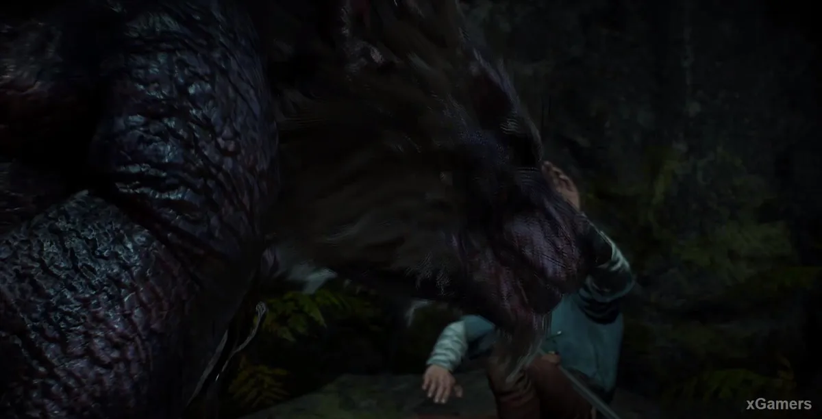 Ciri continue de suivre les traces menant au « Roi des loups »