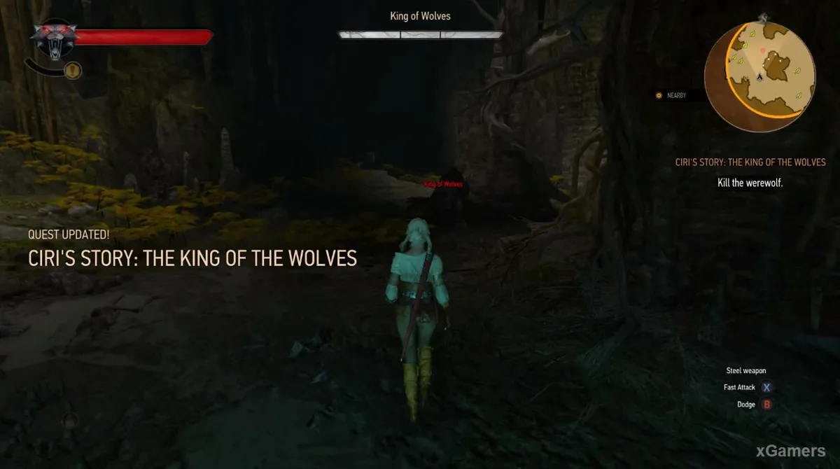 La Geste de Ciri : le Roi des loups