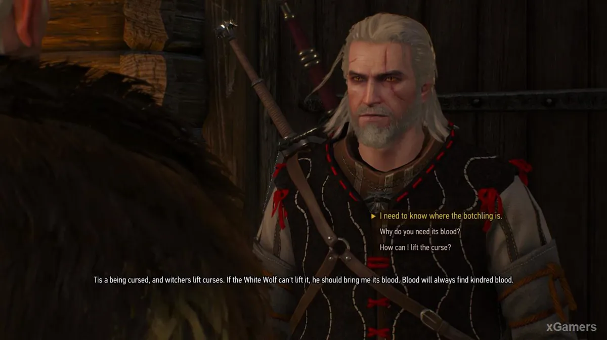 Geralt dans la quête secondaire « Une Princesse en détresse »
