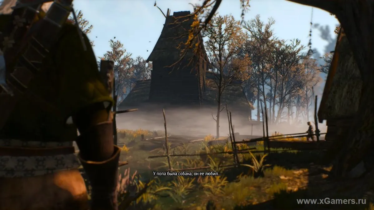 The Witcher 3 (Les Dames de la Foret) - cache-cache