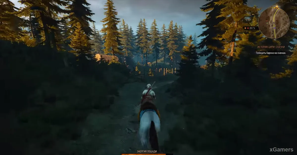 Solution de la quête : La Geste de Ciri – la course