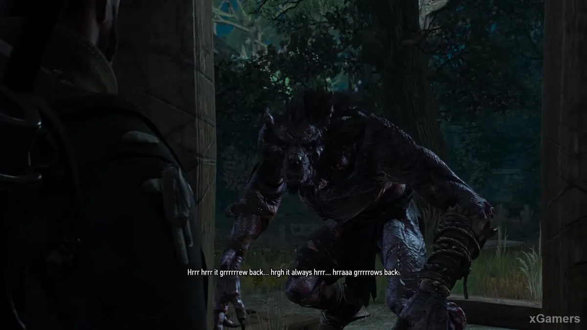 Le loup-garou dans la quête Tombé en disgrâce - The Witcher 3