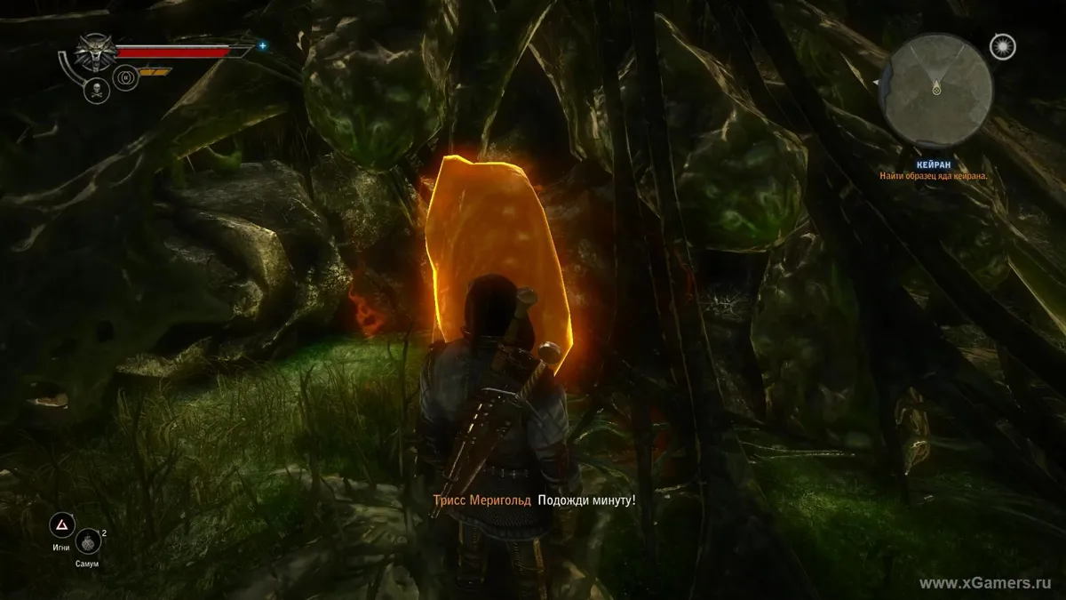 The Witcher 2 Kayran Tenecost