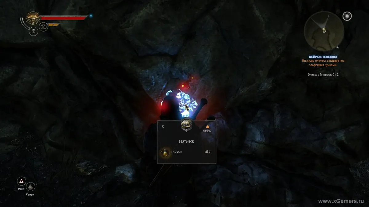 Tenecost pour fabriquer un élixir - The Witcher 2