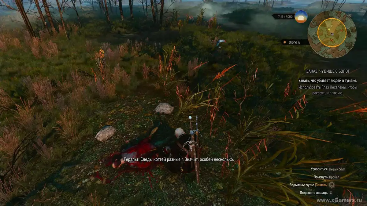 Mission "Le monstre des marais" The Witcher 3
