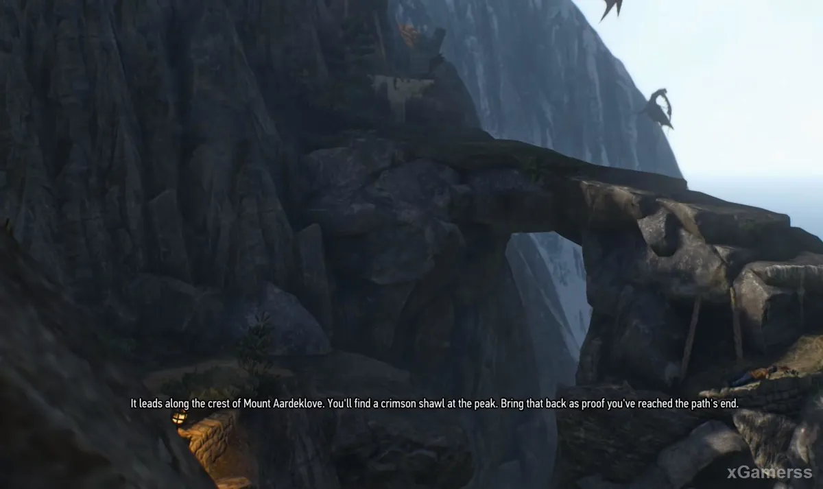 Geralt trouve le Maître de la Voie à proximité, qui lui explique en quoi consiste l'épreuve