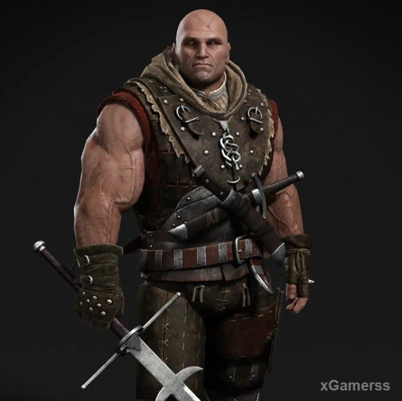 Participation au jeu The Witcher 3 : Wild Hunt
