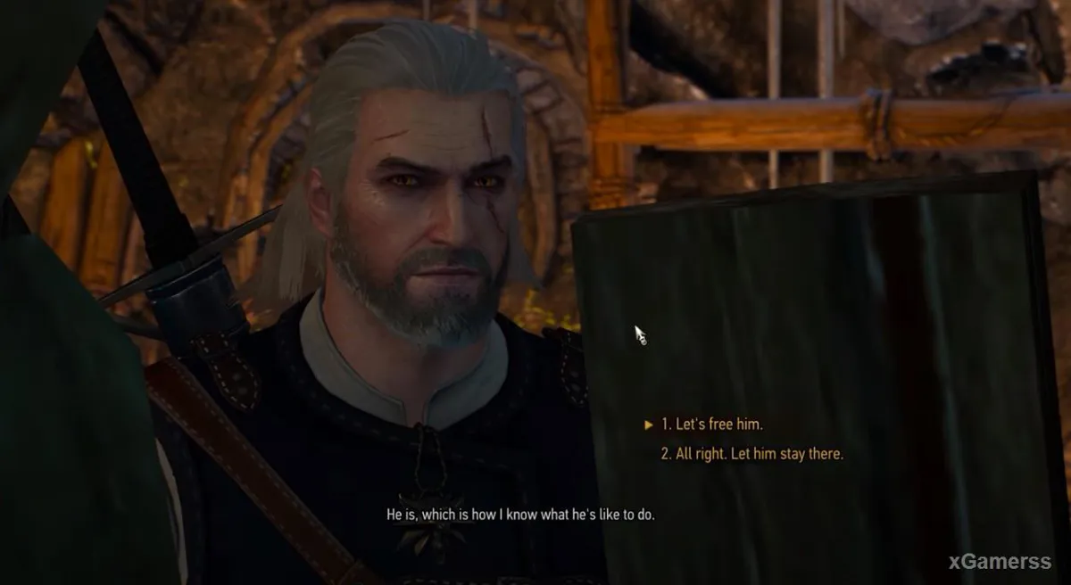 Geralt doit choisir de libérer ou non Vigi le Fou