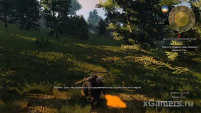 The Witcher 3 : La Bête de la forêt d'Oxenfurt - guide