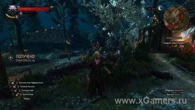 The Witcher 3 : Nuit claire - Soluce et cadeau de Shani