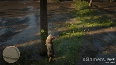Red Dead Redemption 2 : les plantes - guide complet