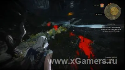 The Witcher 3 : Au cœur de la forêt - solution