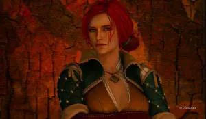 The Witcher 3 : Frères d'armes – Guide complet pour recruter tous les alliés (Novigrad, Velen, Skellige, Nilfgaard)