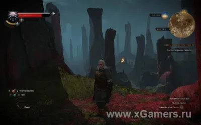 The Witcher 3 : Guide de la quête À travers le temps et l'espace